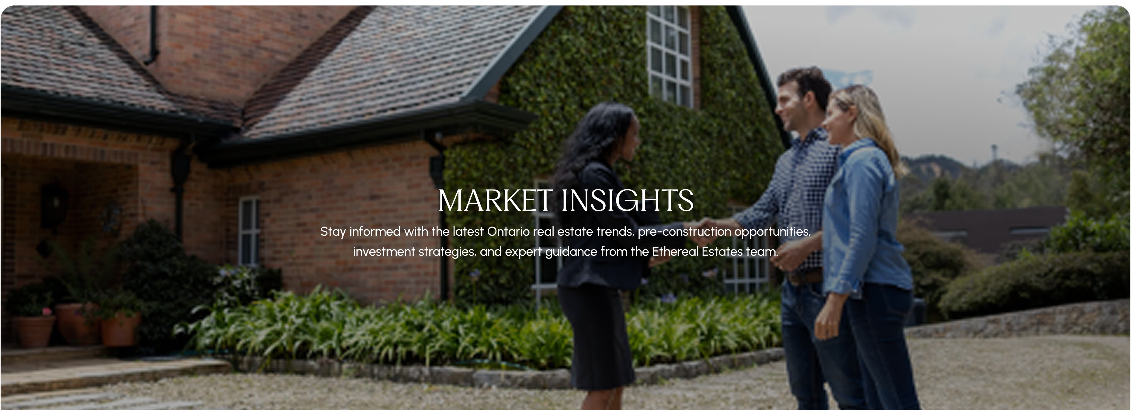 Market Insights Hero